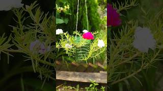 বোতল দিয়ে হ‍্যাঙ্গিং ফুলের টব তৈরি❤||gardening video🌿||#trending #shorts #garden #flowers