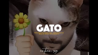 GATO | Rauw Alejandro & Mora Type Beat - Reggaeton Intrumental 2023 🧃