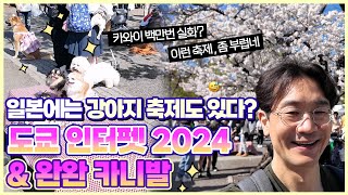 일본 최대의 강아지 축제는 어떤 분위기 일까? 도쿄 완완 페스티벌