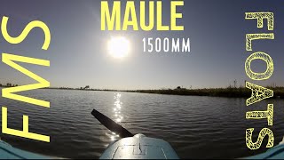 FMS MAULE 1500mm on Floats/ZEN Flight