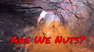 Crawling Though Acid Mine Drainage