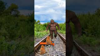 Gata__5_bigfoot_cat_baby_vfxshort_#viral_#youtube(360p)