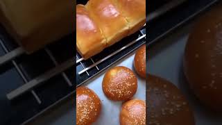 A mesma massa de Brioche, dois tipos de Pão MARAVILHOSO🤫🤤