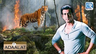 KD Pathak के पास आया Jungle में हुवे Fire Incident का केस | Adaalat | Crime Series | Full Episode