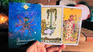 Scorpio 🍀THIS IS SERIOUS…LOT OF DOORS AND WINDOWS OF OPPURTUNITY…GET READY !!! ♏️Tarot