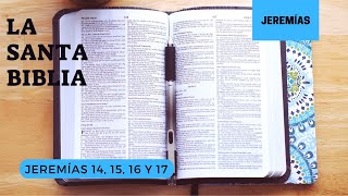 JEREMÍAS 14, 15, 16, 17 (DÍA 195) LA SANTA BIBLIA || Biblia hablada ||