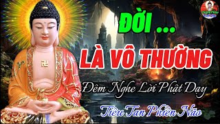 Đời Là Vô Thường - Đêm Nghe Lời Phật Dạy Để Không Phiền Não Và Khổ Đau - An Vui Hạnh Phúc