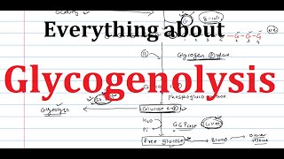 19. Glycogenolysis | Glycogen Breakdown | Biochemistry | Metabolism