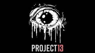 Project 13