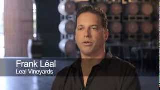 Small Business SBA 504 Success Story: Leal Vineyards