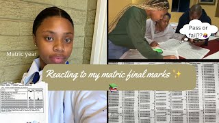 Reacting to my Matric Final Results|| Bachelors pass?|| Distinctions?|| #smallyoutuber #sayoutubers