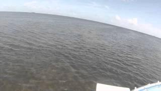 Skinny water out at Aransas Pass Tx