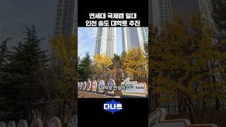 연세대 국제캠 일대 인천 송도 대학로 추진