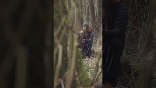 Photographing treecreepers in an ancient woodland! #wildlifephotography #birds   #birdphotography