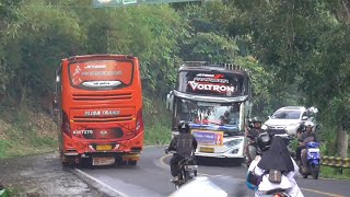 artis bus telolet saling balas & momen paling seru perang basuri