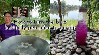 Palitaw and Butterfly Pea Juice/Filipino Dessert/Share Life/Simple Country Life/Episode4