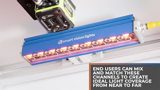 Machine Vision Logistics Application - bar code scanning on packages of different heights