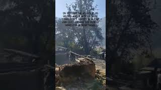 Please help Kishtwar fire victims #kishtwar #shortsfeed #youtubeshorts #fire #jammukashmirnews #yt