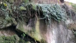 Родник, источники чистой воды в центре Тбилиси