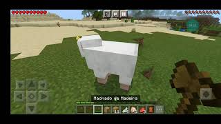 Minecraft- ESPECIAL DE 10 INSCRITOS