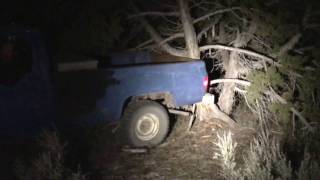 REDNECK PULLS DOWN TREE AFTER RAMMING INTO IT WITH TRUCK!!??