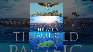 Wild Pacific: The Depths of Discovery | W3schools