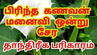 பிரிந்த கணவன் மனைவி ஒன்று சேர | 8939799989 |தாந்த்ரீக பரிகாரம்