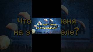 🤐Такая уж неделя #гадание #картытаро #таро #тарология #астрология #картадня #развитие #советтаро