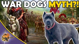 Were War Dogs Used In Ancient Warfare?!