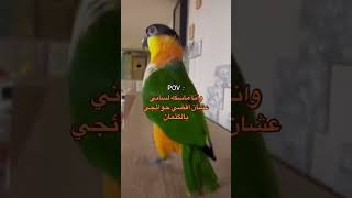 Pov : وأنا ماسكه لساني عشان أقضي حوائجي بالكتمان ههههههه