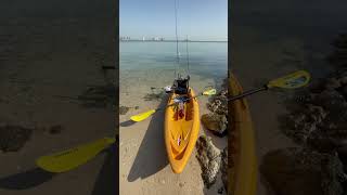 Fishing Day🎣🎣🎣 | Kayak Fishing Qatar