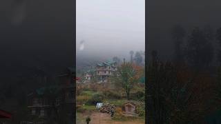 Manali or barish💙💙#trendingshorts #shortvideo #ytshorts #naturelovers #viralshort #manali