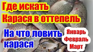 Где искать Карася в оттепель Как ловить Карася зимой Насадка на карася Рыбалка на карася зимой