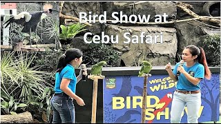 Cebu Safari - Bird Show