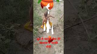 सुन री यशोदा मैया तेरो नंदलाल मेरी मटकी डोरी#youtubeshorts #youtube #youtuber #ytshorts #youtubesh