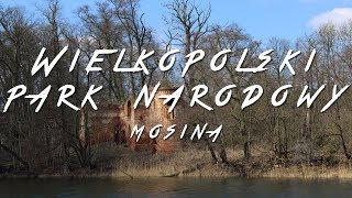 Wielkopolski Park Narodowy - Ruiny zamku Klaudyny Potockiej