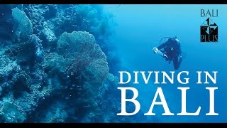 Diving in Bali