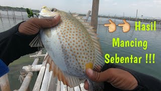 Beruntung !! Mancing Baronang Sebentar Di Spot ini Masih Bisa Landed Baronang Babon #rabbitfish