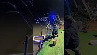 EPIC MOMMENT FISHING! #shorts #viral #fishing #fish #short #bigfish #tiktok #live #ikan #sungai