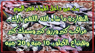 النهاردة ما شاء الله اللهم بارك,مراكب كتير ورزق كتير وسمك كتير وهيتباع الكيلو بـ 10 جنيه و 20 جنيه