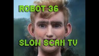 0099 Toonify SSTV Robot36