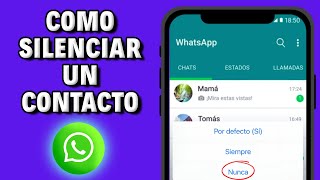 Cómo Silenciar las Notificaciones de WhatsApp