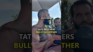 Tate Brothers Fight and Bully Each other #shorts