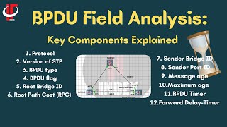 Understanding BPDU Message Fields #switching #computerscience #ccna #ccnp #bpdu