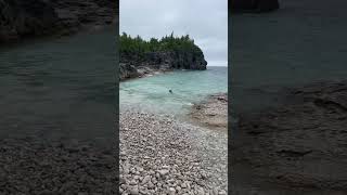 No Fear Dog Swimming GEORGIAN BAY Ontario