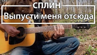 Как играть Сплин - Выпусти меня отсюда. Урок на гитаре для начинающих, разбор Сплин