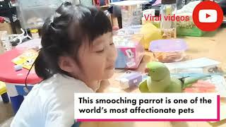 Kissing parrot has lots of love to give