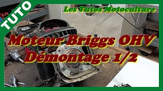 Restauration tracteur EP8 : démontage moteur 1/2 ( Briggs OHV )