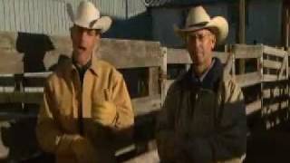 Feedyard Focal Point (Spanish) Chapter 1 (BQA)