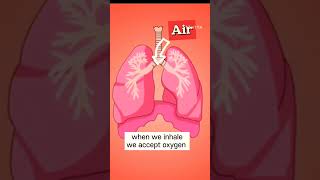 why we breath out water vapors? #shorts #hindishorts #breathing #yoga